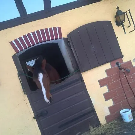 Apartment Etzauer Muehle-mensch-zeit-pferd, Weilrod