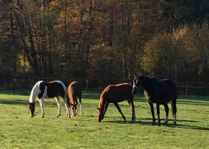 Etzauer Muehle Im Taunus, Mensch-zeit-pferd *