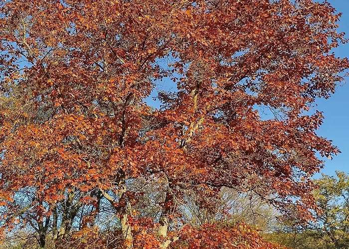 Etzauer Muehle Im Taunus, Mensch-zeit-pferd Apartamento